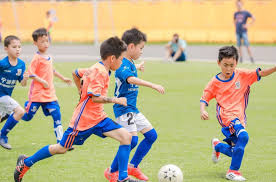 2026国际足联世界杯 使用双杠进行倒立训练时应该注意什么？